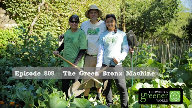 Episode 808 - The Green Bronx Machine