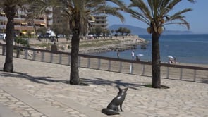 Platges a punt per a la temporada de bany