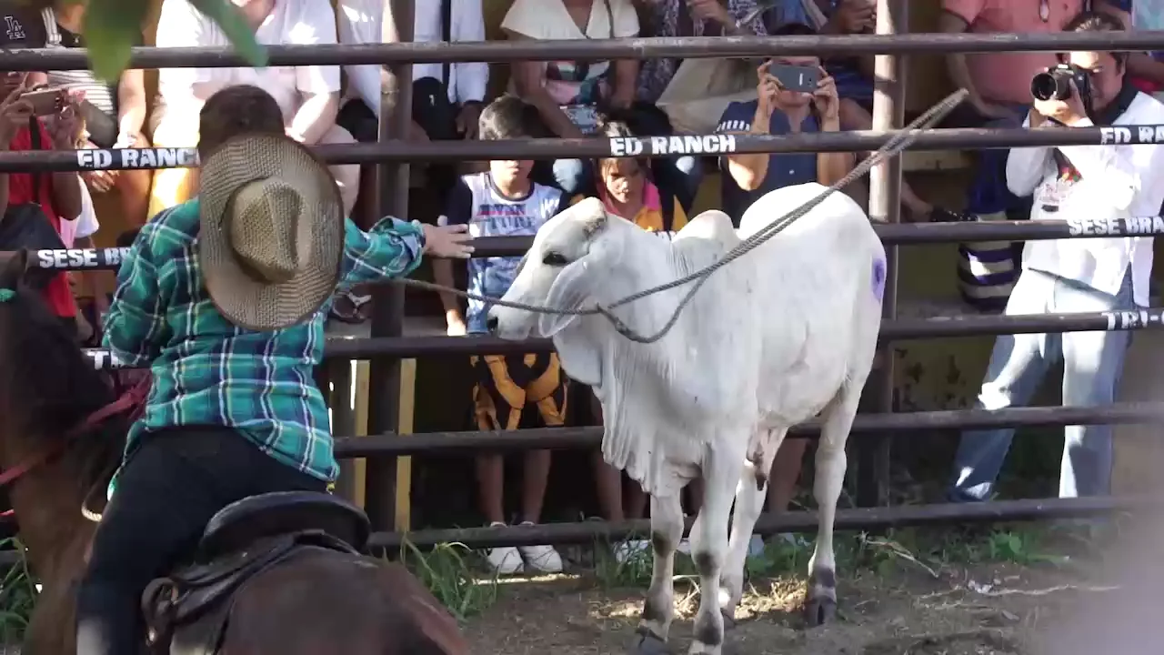 rodeo Festival on Vimeo