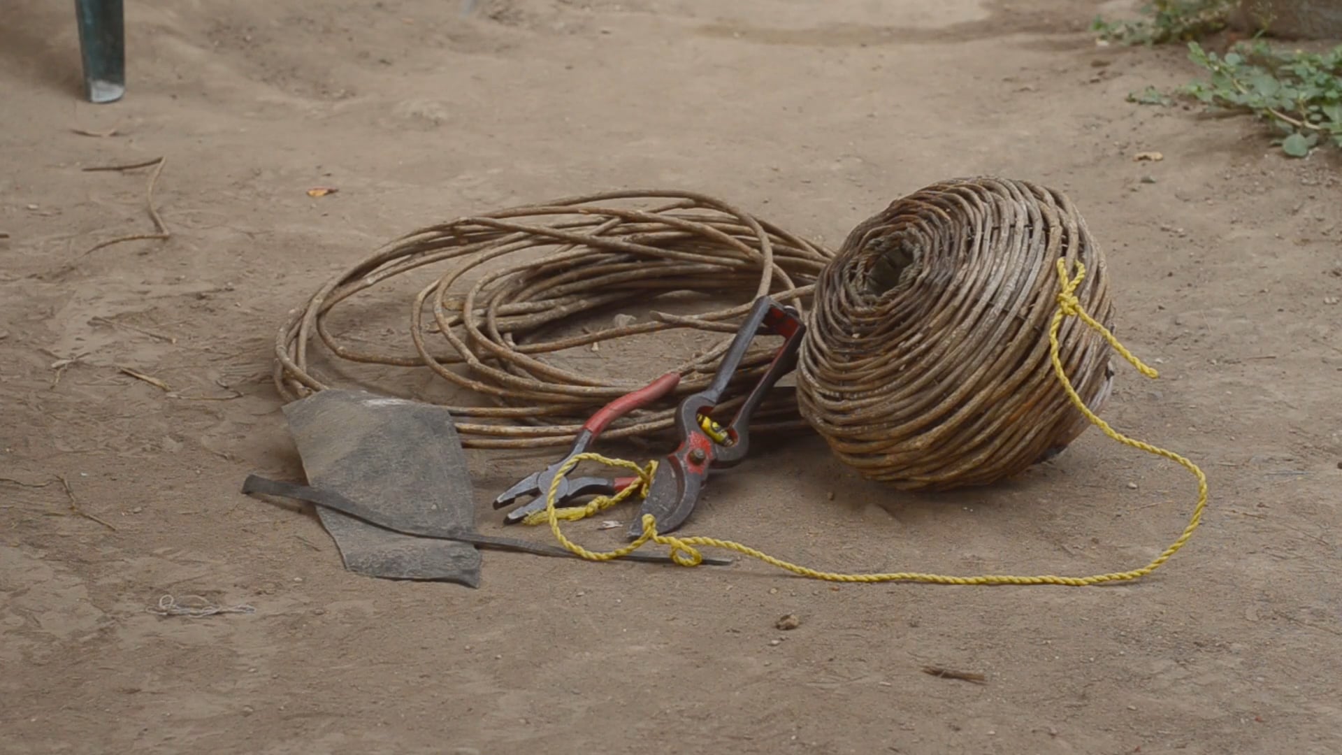 Río: Una Corriente de Vida