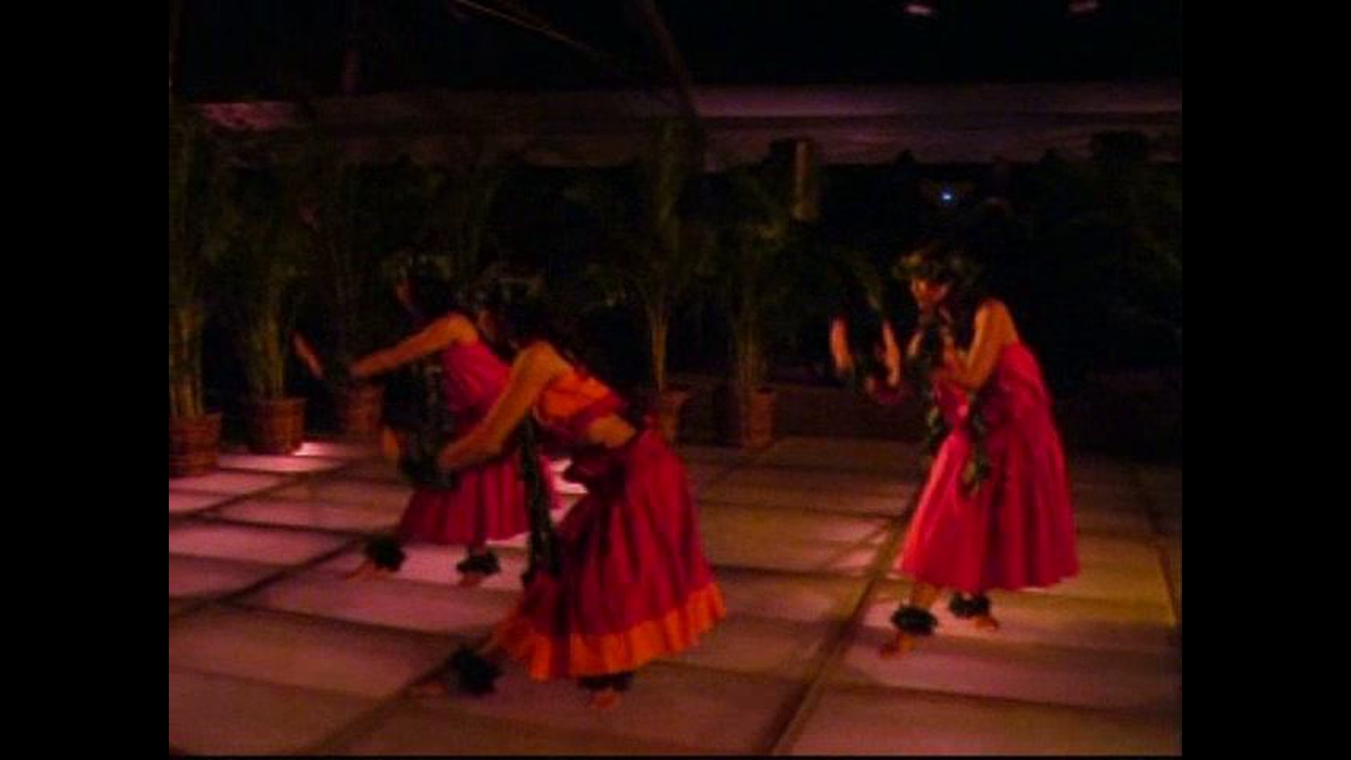 Promotional video thumbnail 1 for Aloha Hula NYC