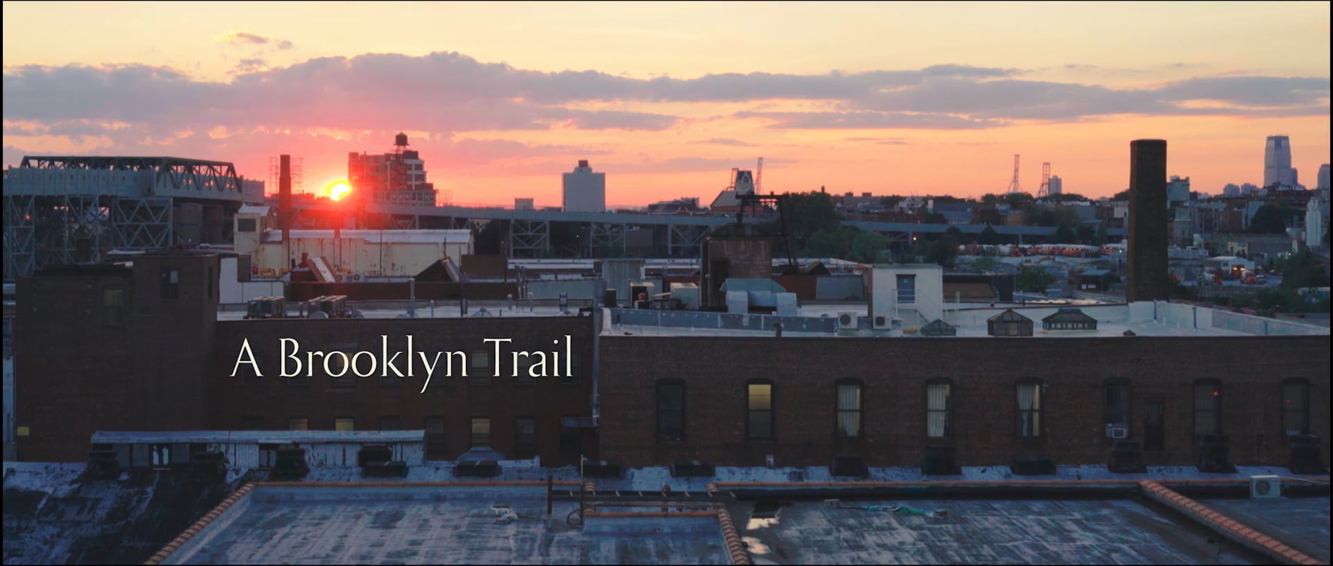 A Brooklyn Trail
