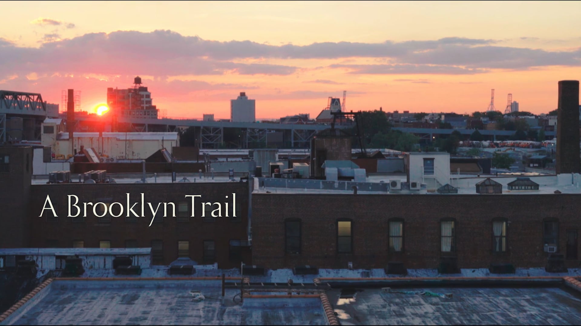 A Brooklyn Trail