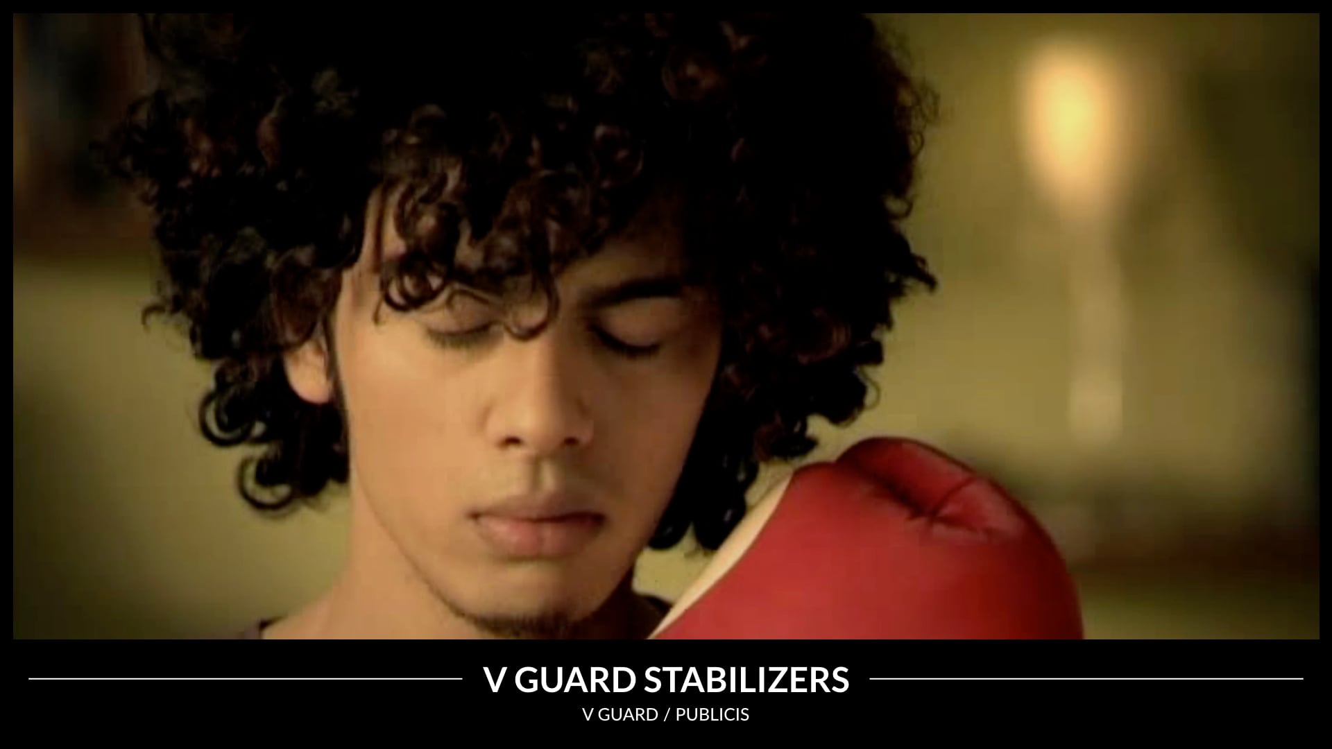 V Guard Stabilizers - Box