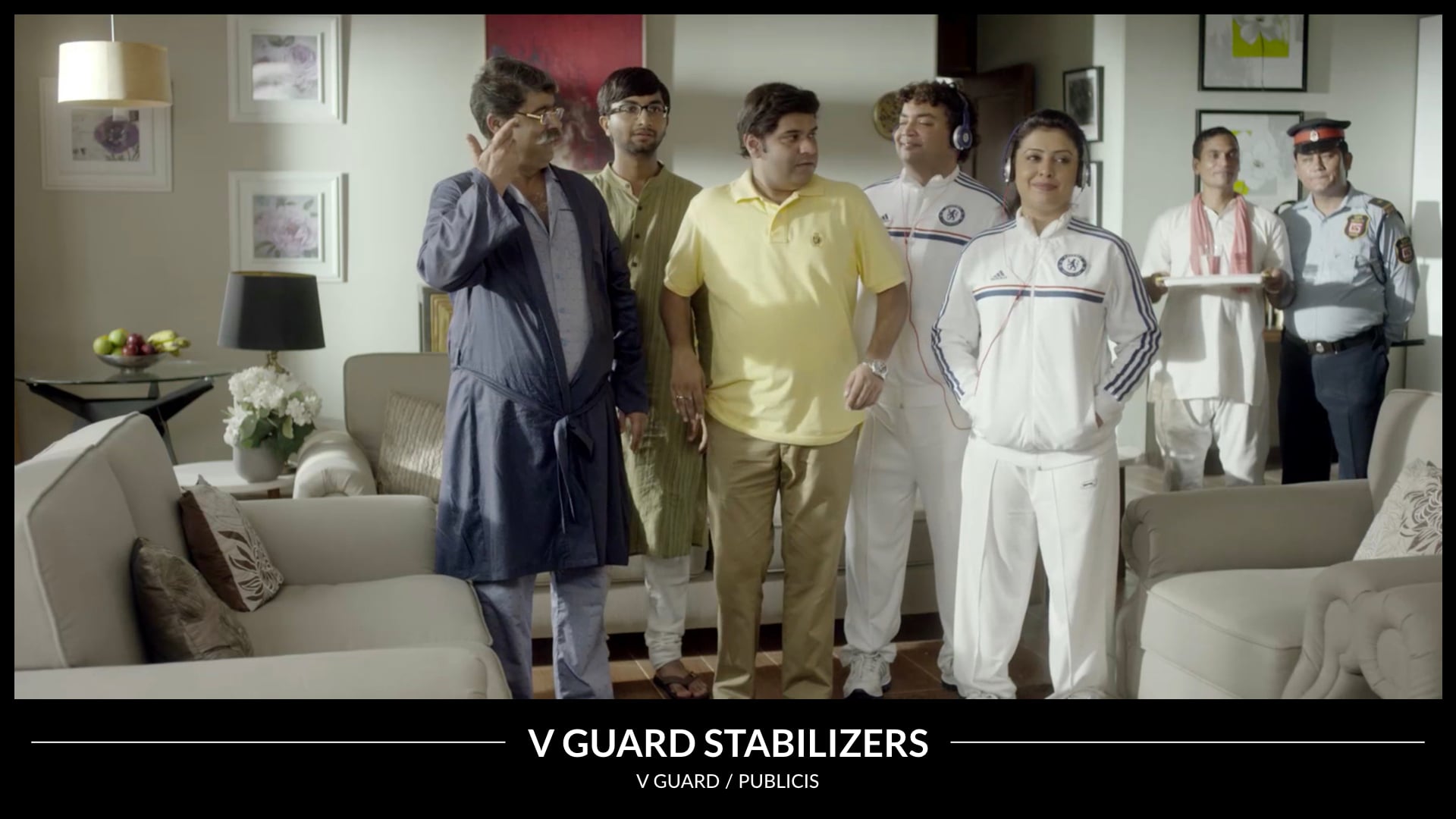 V Guard Stabilizers