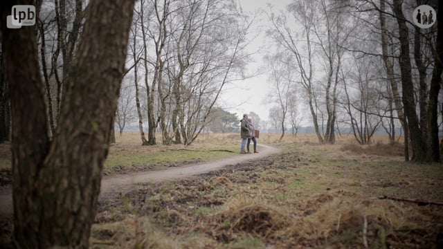 Gaaf - Hei van Stroe