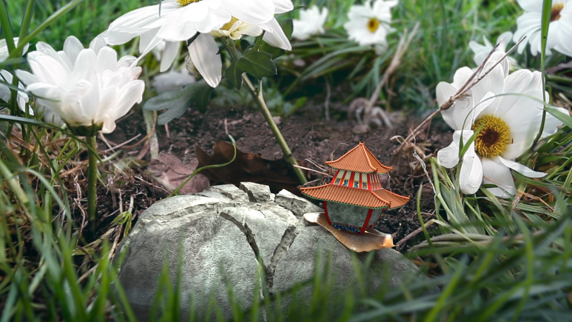 The Snail