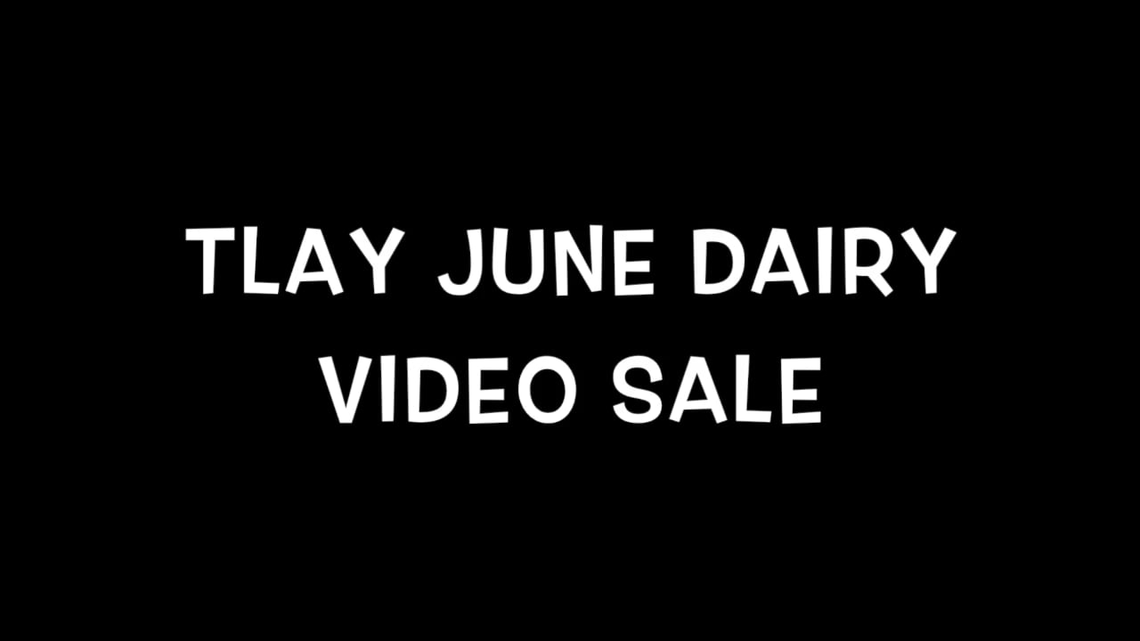 1 week from today on vimeo