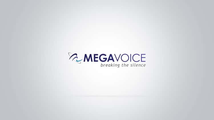 MegaVoice Audio Bibles