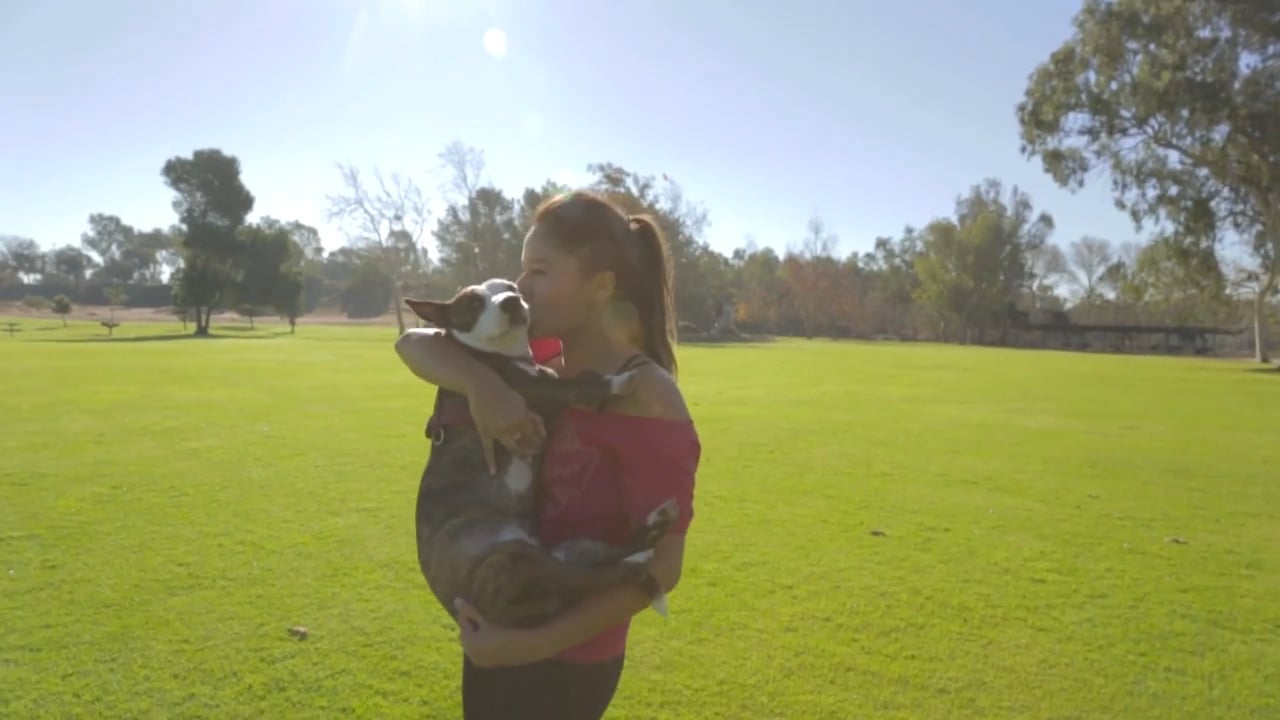 "Nola" A Dog’s Life - Eukanuba Promo