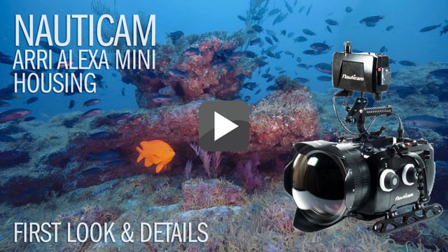 Nauticam Arri Alexa Mini - Underwater Cinema System Review