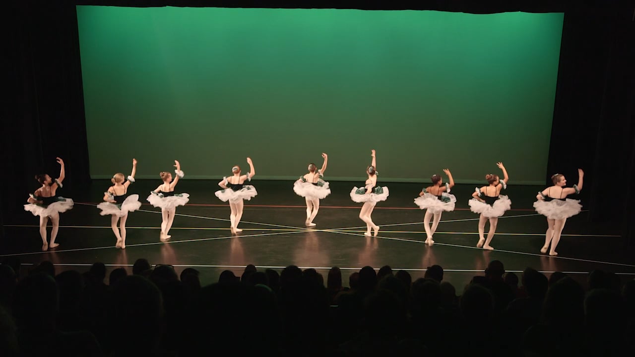 Watch Cobble Hill Ballet 2017Dancing United Through Our World Online