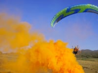 Paramotor wings