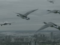 Nedgroup Comercial Ian Gabriel Director