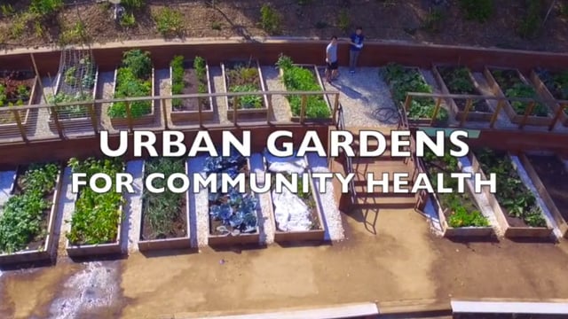 Urban Gardens for Community Health