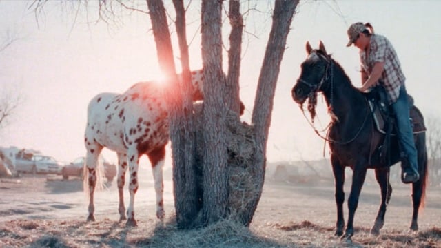 A thumbnail for the film 'Foreign Fields - Hope Inside the Fire' by  katelin arizmendi