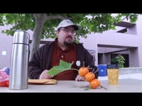 Episode 1.4