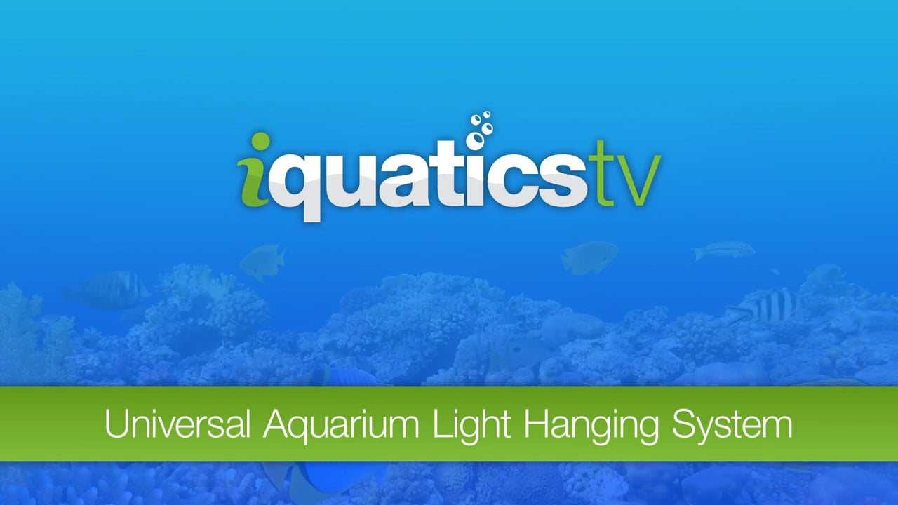 iQuatics Universal Aquarium Lighting Mounting KitHanging System on Vimeo