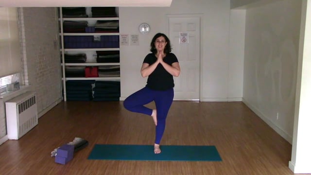 Special Guest Class: Improve Your Balance w/Ariana Rabinovitch