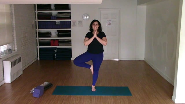 Special Guest Class: Improve Your Balance w/Ariana Rabinovitch