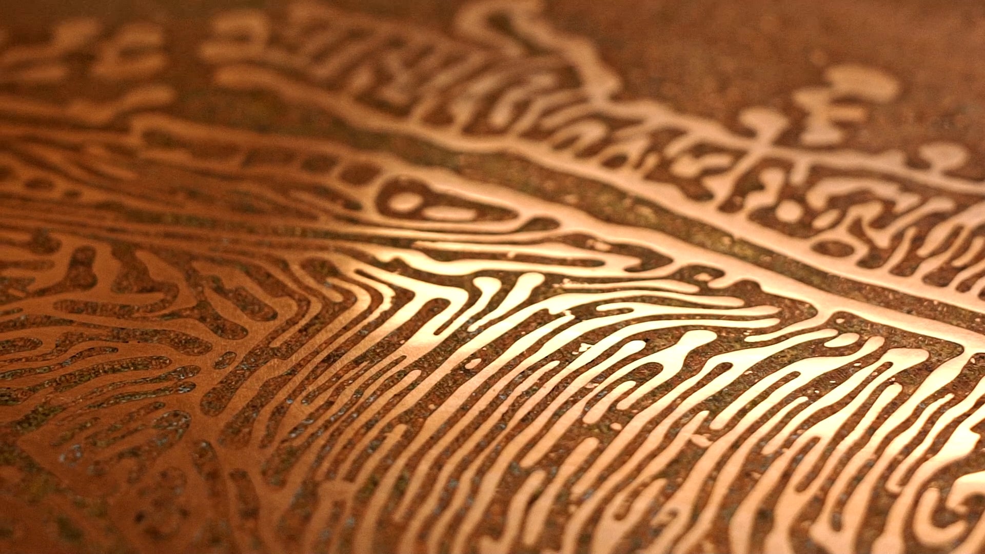 The Alchemy of Stanislaw Trzebinski