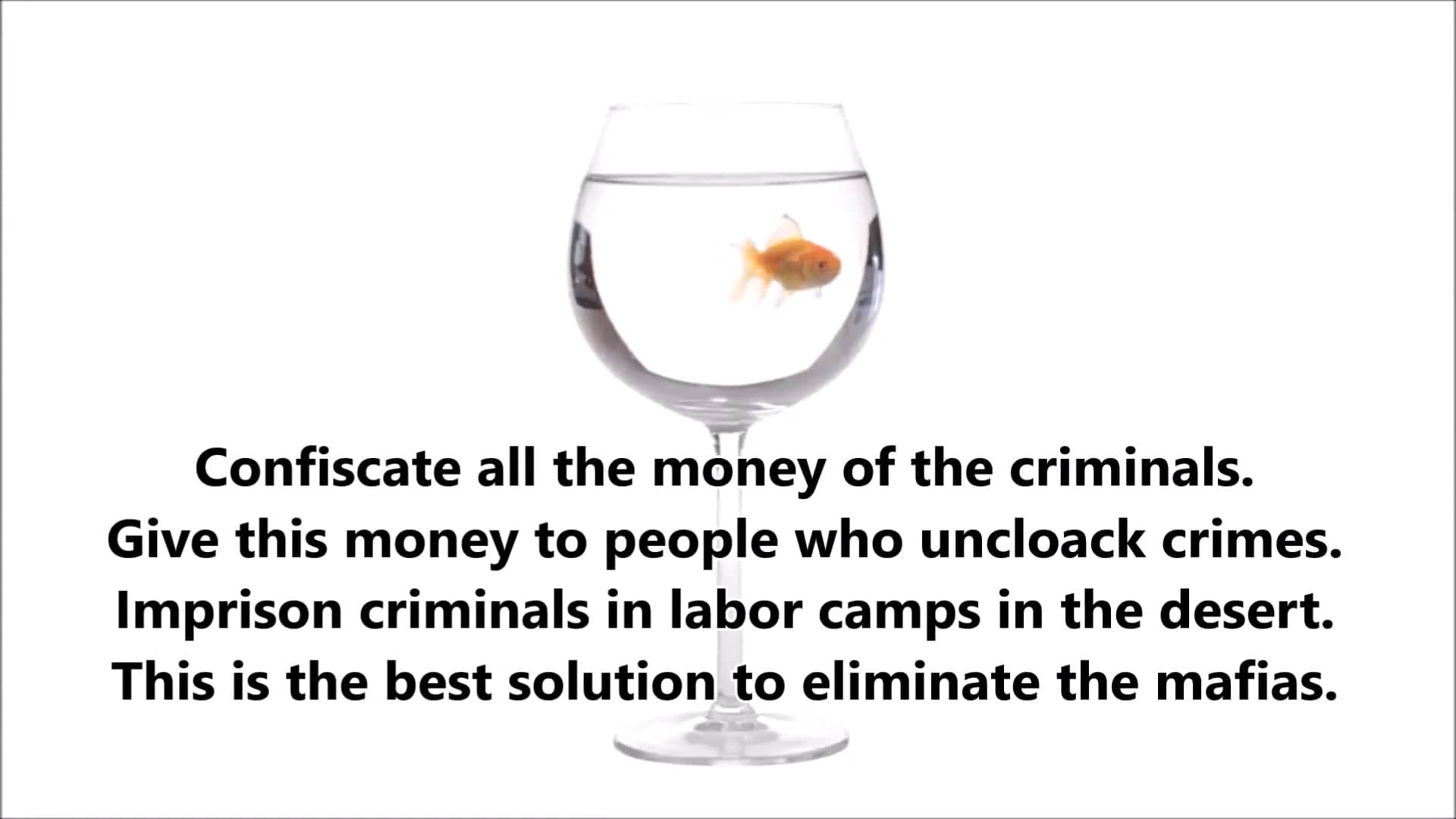 Confiscate All The Money Of The Criminals On Vimeo