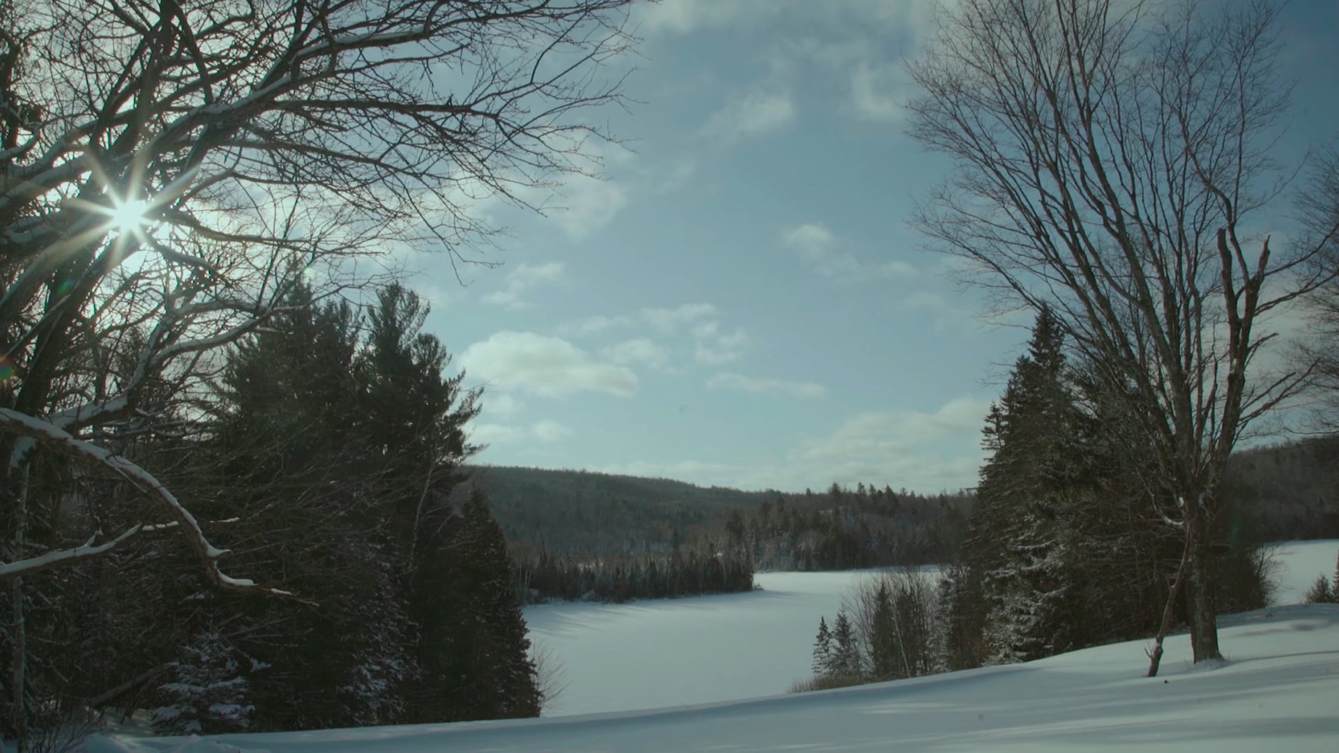 Deep Roots - Movie Trailer