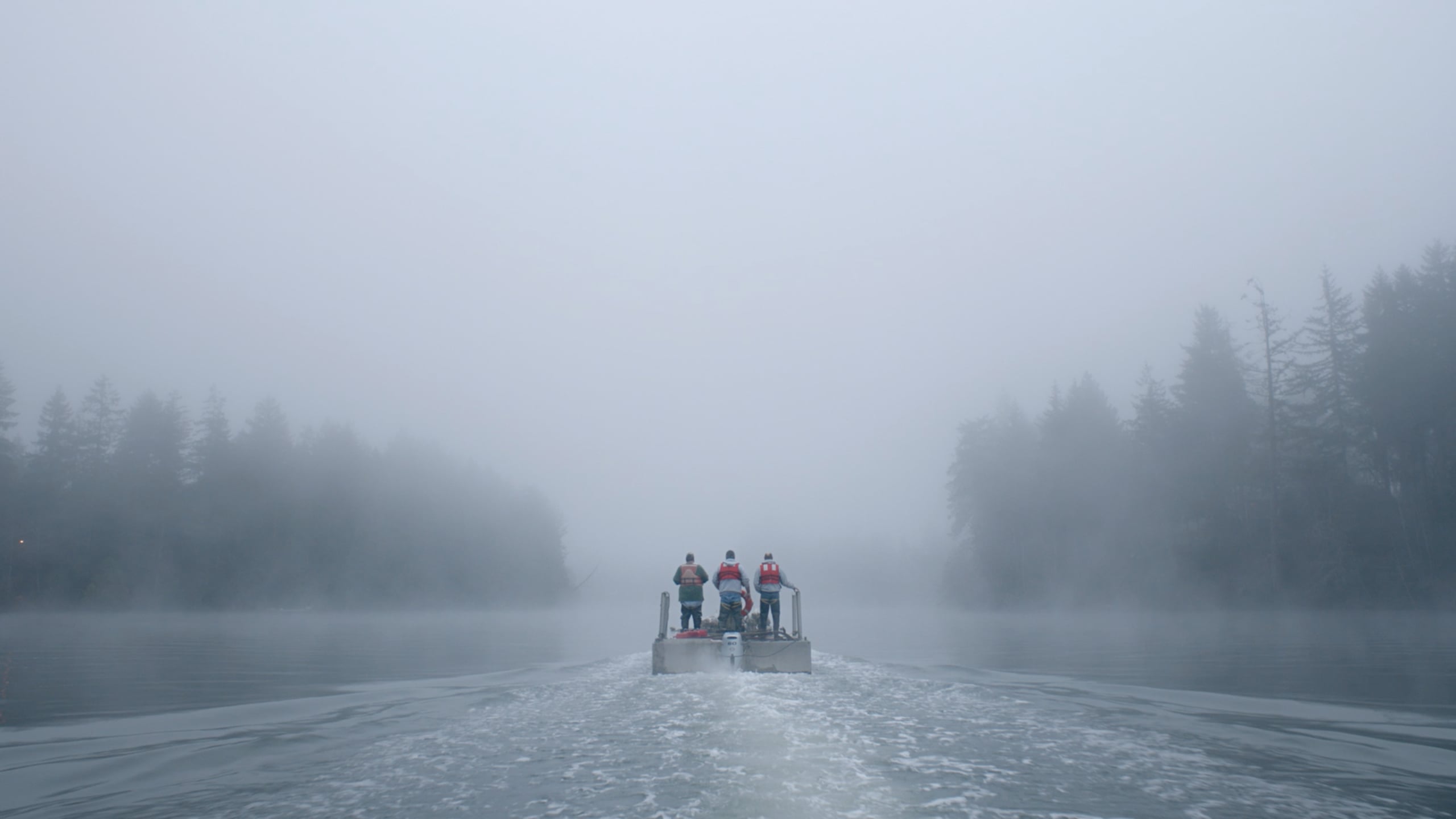 Lincoln Motor Co. "The Night Tides"