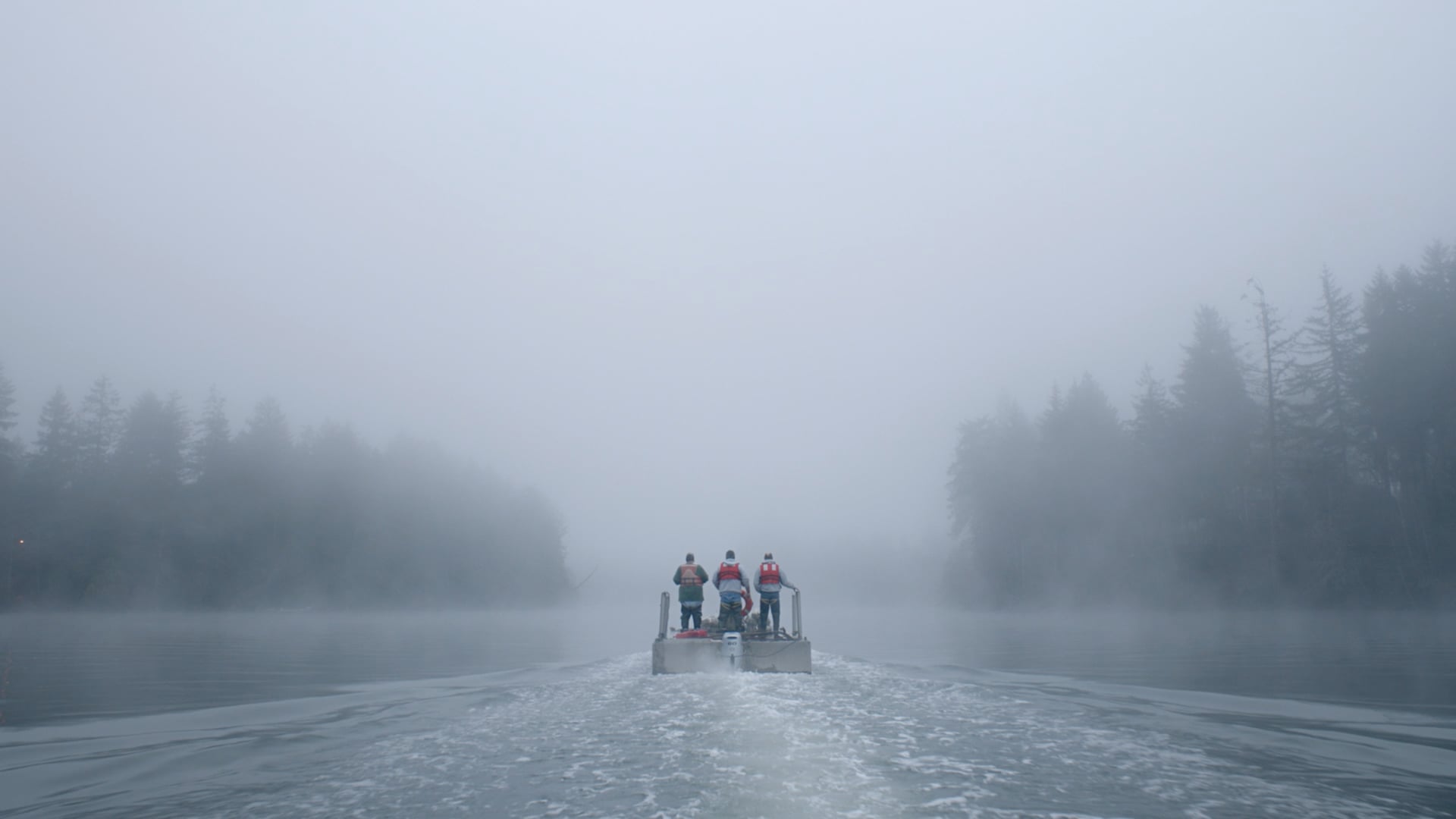 Lincoln Motor Co. "The Night Tides"
