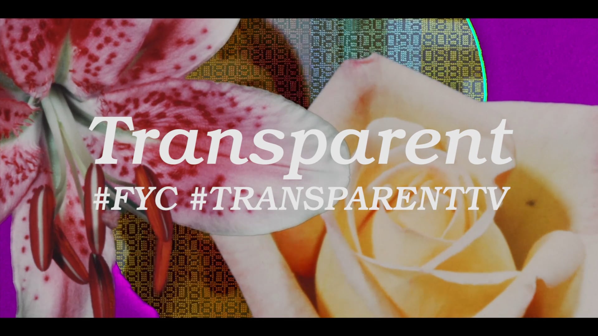 TRANSPARENT - OUTSTANDING COMEDY SERIES