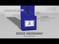 24 Drozd wędrowny Mark2 @Vimeo