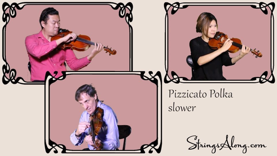 215.01.05.S pizpolk -Ce