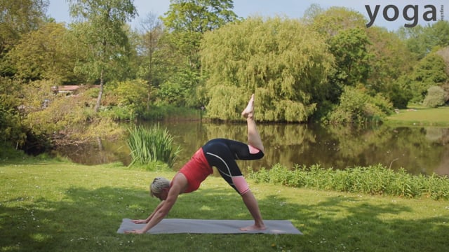 Yoga bootcamp – week 5