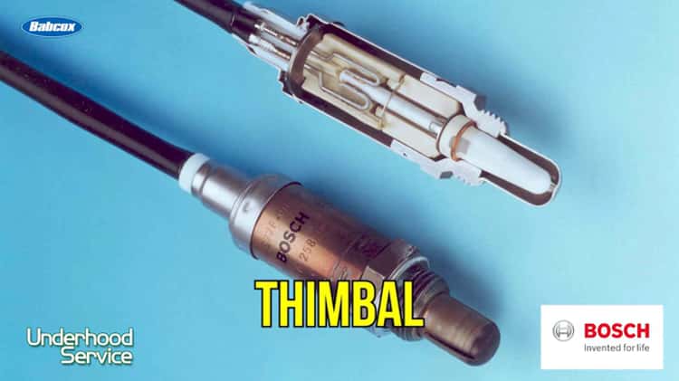 Maintenance Minute Thimbal and Planar Oxygen Sensors