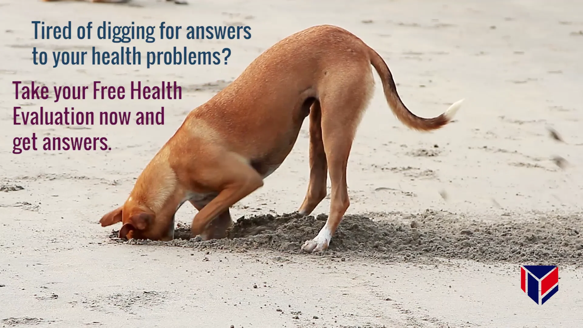 Digging for Answers to Your Health Problems? on Vimeo