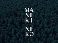 Video poster thumbnail