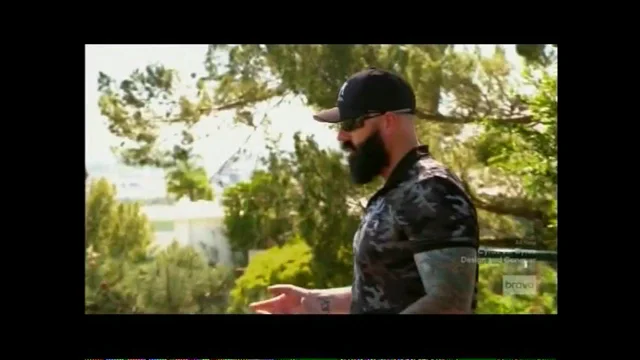 Brian Wilson was on Million Dollar Listing Los Angeles, so we