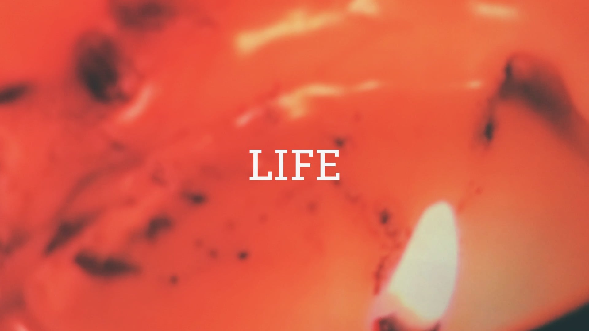 Life On Vimeo
