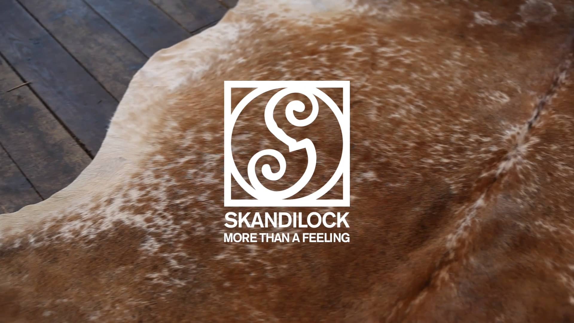 Care Instructions Cowhide on Vimeo