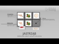 06 Jastrząb