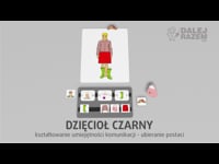 08 Dzięcioł czarny