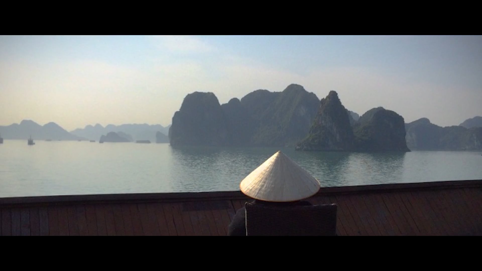 Animale_Indochina_Trailer_V03_20170619
