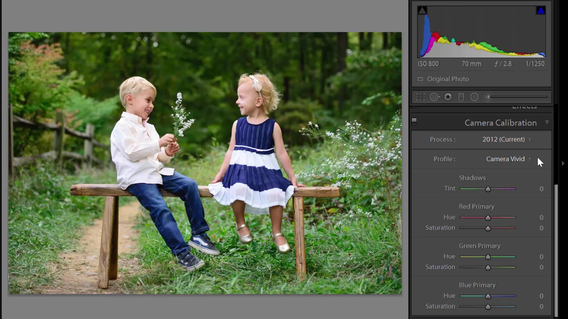 LRM - Lightroom Series - Camera Calibration (1706) on Vimeo