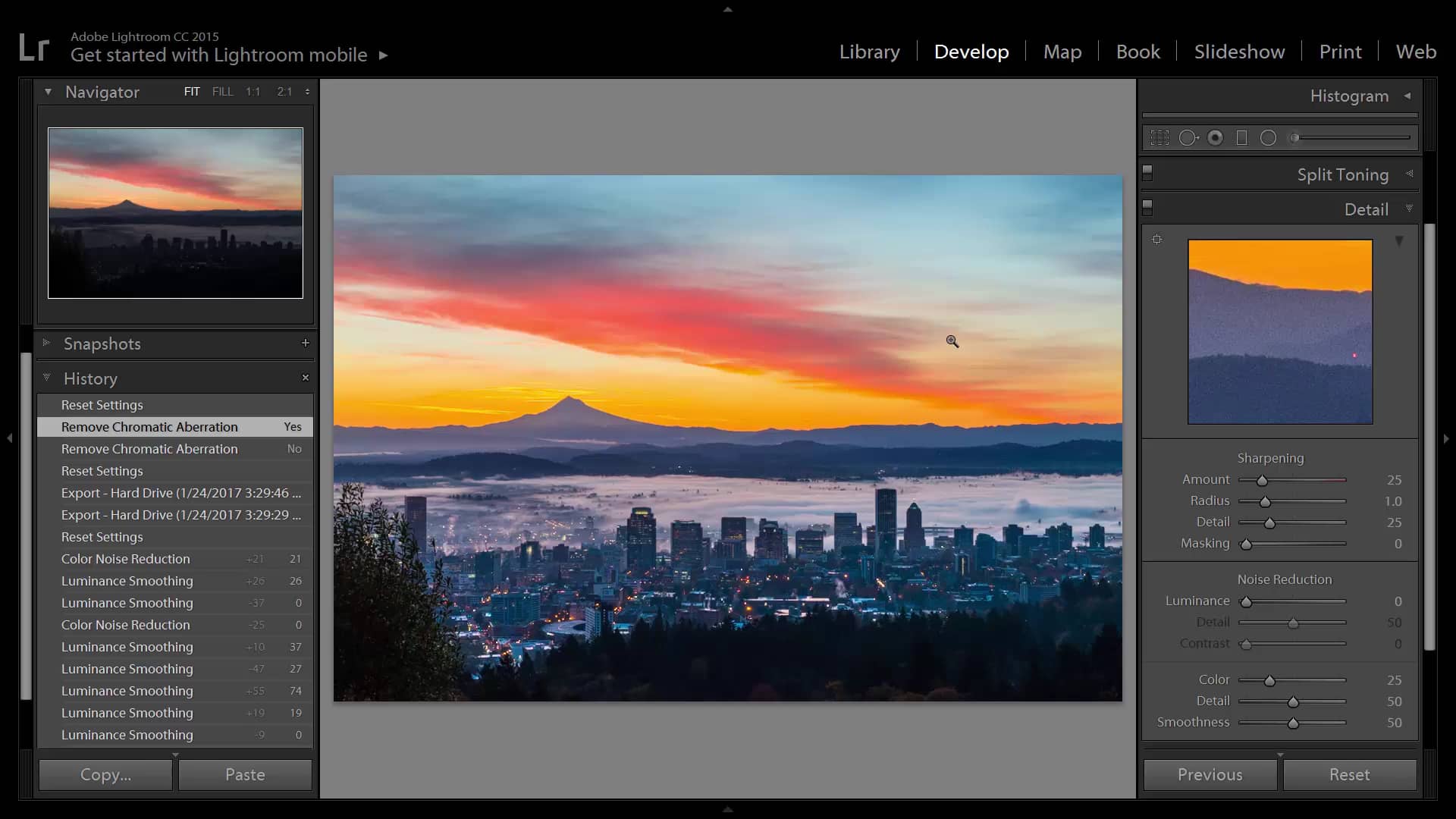 LRM Lightroom Series Noise Reduction and Sharpening (1706) on Vimeo