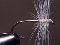 How to Make a Neat Head on a Fly