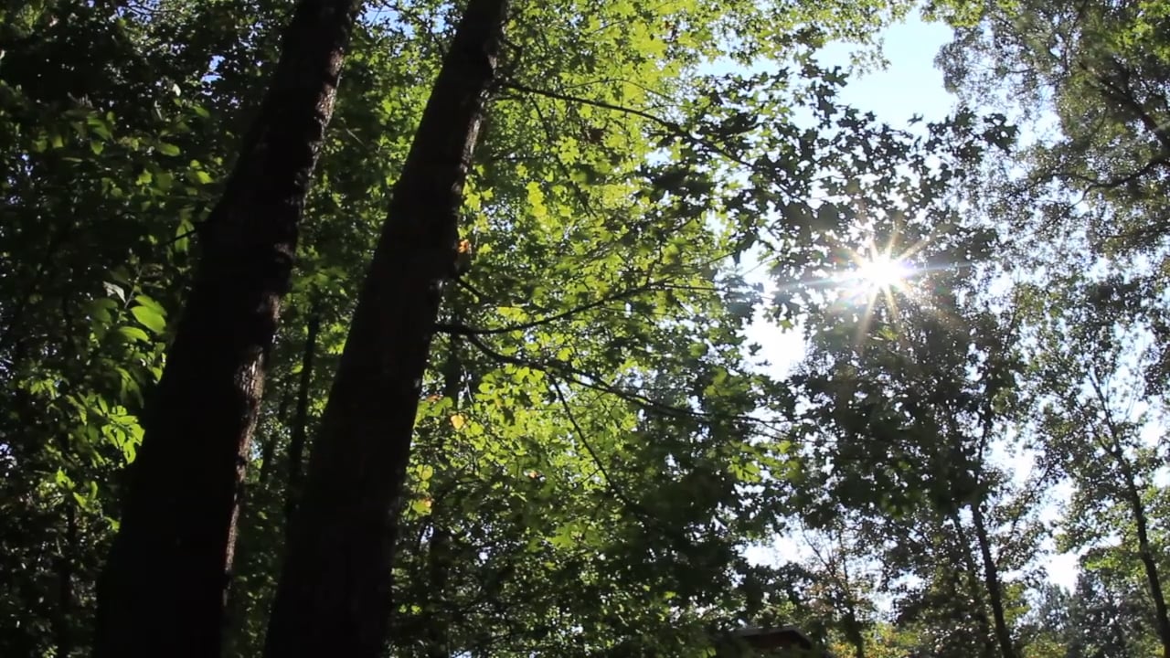 ADN 492 Project 2 on Vimeo
