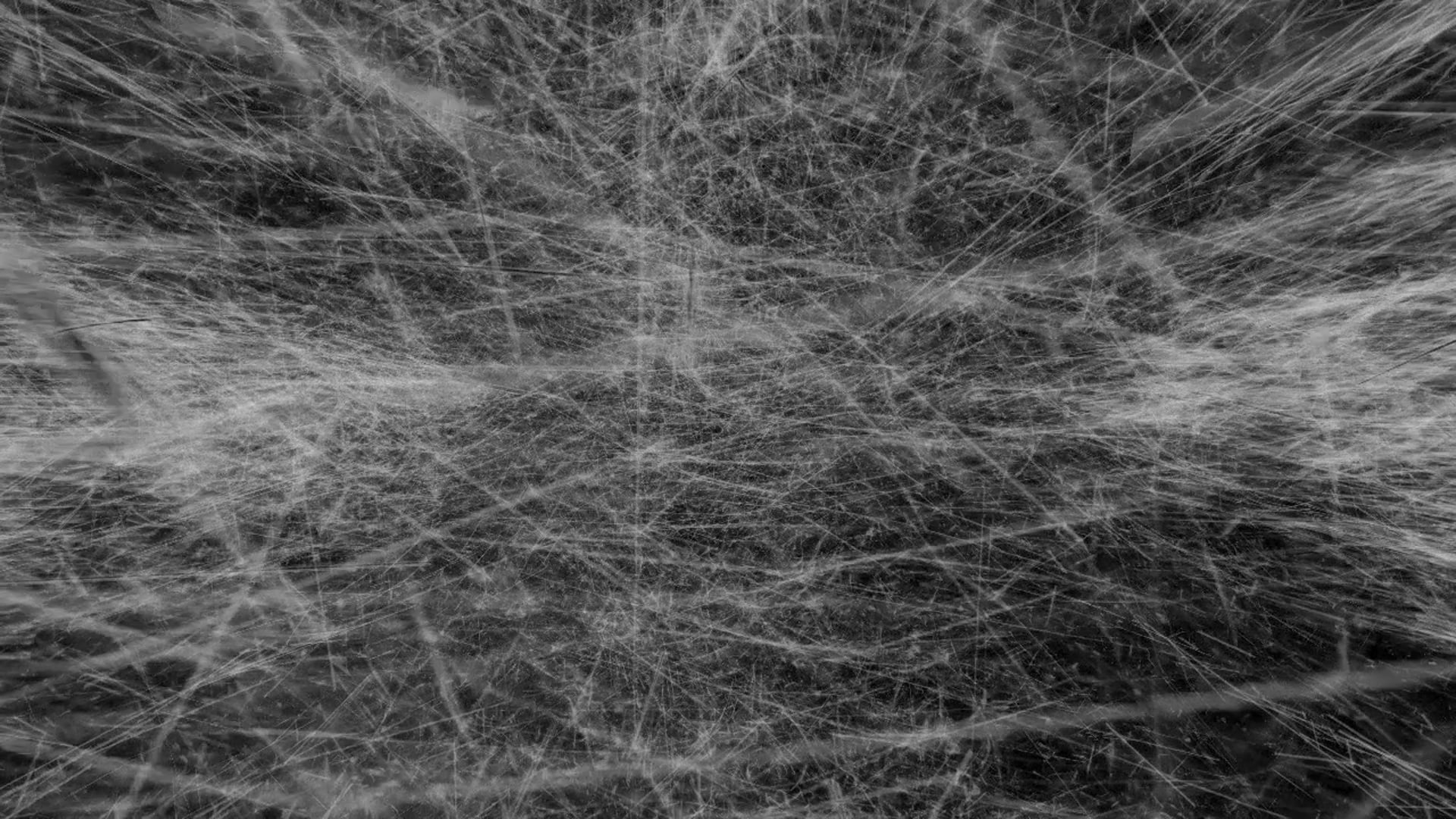 Max/MSP/Jitter