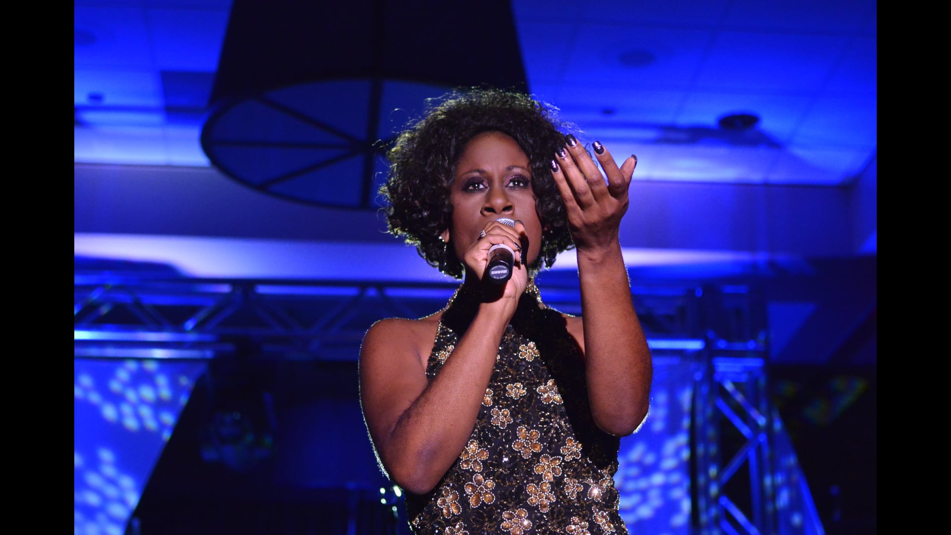 Promotional video thumbnail 4 for HeartFelt Entertainment, Inc. (Carlene Mitchell)