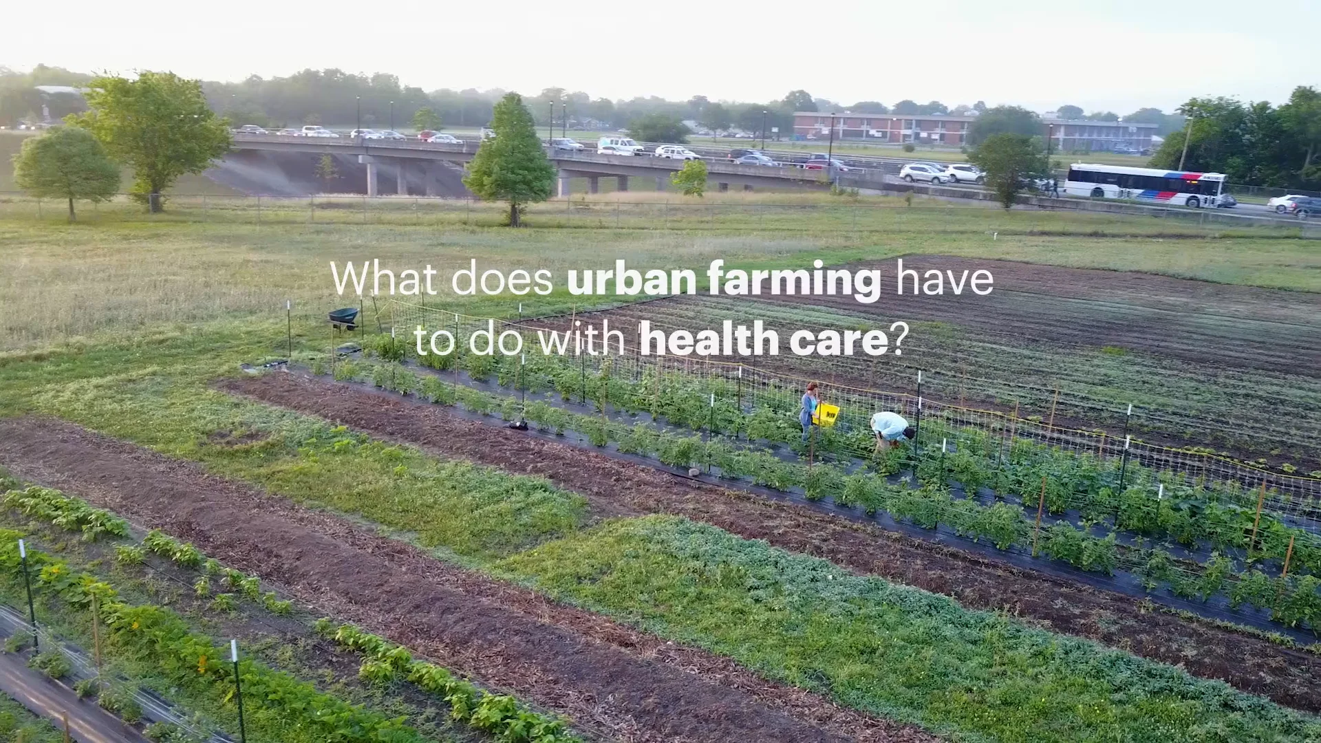 UHG Hope Farms Collection - UHG Hope Farms - Teaser on Vimeo