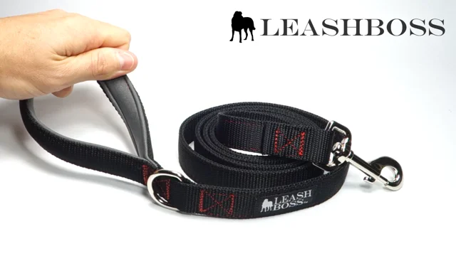 Free Range 1 - 30 Foot - Heavy Duty Training Leash for Large Dogs